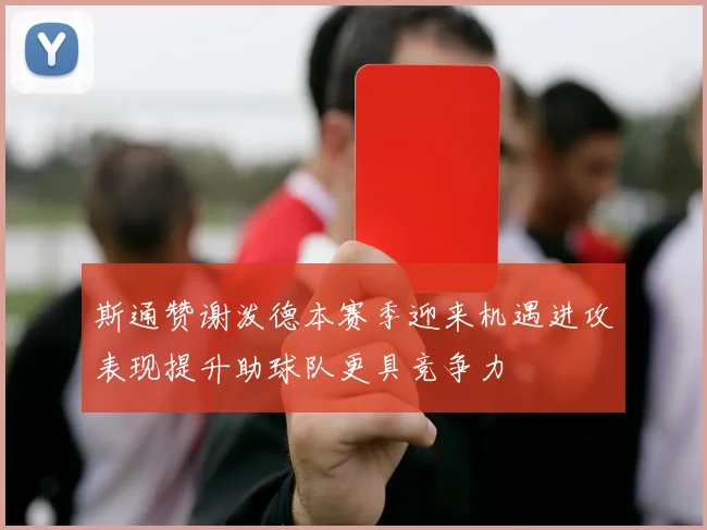 斯通赞谢泼德本赛季迎来机遇进攻表现提升助球队更具竞争力